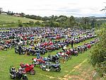 Toy run3 2004